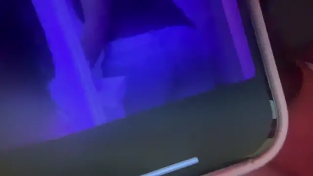 bunnytentacion online show from 11-19-25, 05:07