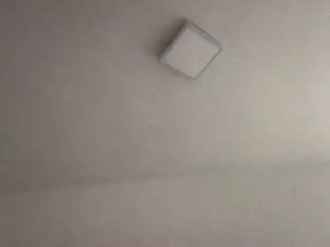 alegriadodia online show from 10-08-25, 07:55