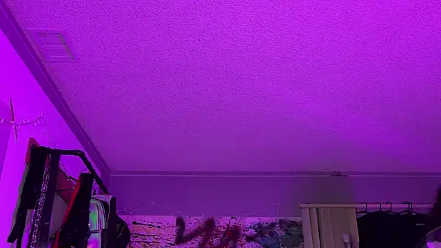 Snapshot of xoFrankie chatting on 11-16-25, 05:13 xoFrankie online show from 11-16-25, 05:13