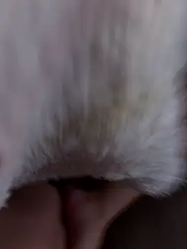 Snapshot of erokami36 chatting on 02-05-26, 06:07 erokami36 online show from 02-05-26, 06:07