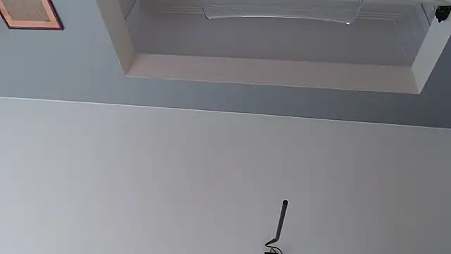 Snapshot of knodli chatting on 10-21-25, 11:55 knodli online show from 10-21-25, 11:55