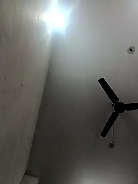 Appypie online show from 12-15-25, 05:34