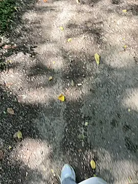 Snapshot of amo660 chatting on 09-20-25, 10:05 amo660 online show from 09-20-25, 10:05