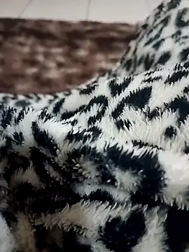 Snapshot of Gauderio40 chatting on 11-21-25, 04:11 Gauderio40 online show from 11-21-25, 04:11