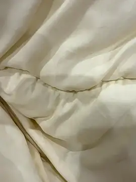 Snapshot of xiaoxun520 chatting on 11-01-25, 04:31 xiaoxun520 online show from 11-01-25, 04:31