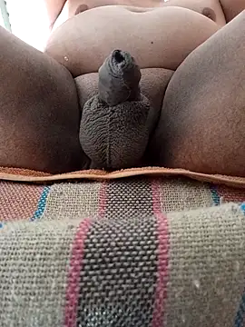 Snapshot of HotsitoTQM chatting on 12-17-25, 03:51 HotsitoTQM online show from 12-17-25, 03:51