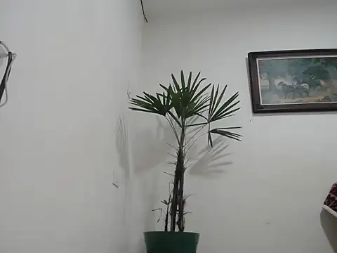 Snapshot of Young_handsome chatting on 09-11-25, 01:28 Young handsome online show from 09-11-25, 01:28