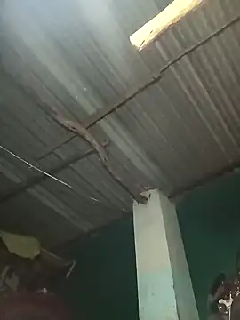 Snapshot of Hot-honi chatting on 09-19-25, 01:45 Hot-honi online show from 09-19-25, 01:45