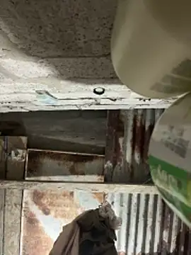 SaraBust online show from 04-07-26, 04:24