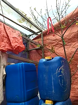 liu-liusexy online show from 02-19-26, 08:21