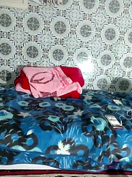 Snapshot of Hot-lino chatting on 11-07-25, 11:38 Hot-lino online show from 11-07-25, 11:38