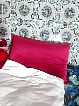 Snapshot of Hot-lino chatting on 12-03-25, 04:27 Hot-lino online show from 12-03-25, 04:27