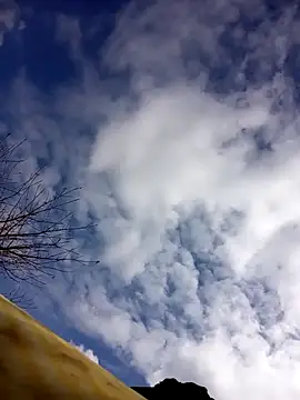 tcm-cute online show from 10-23-25, 03:06