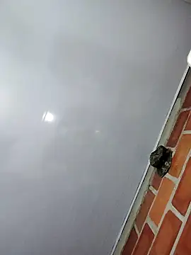 Perropa online show from 02-27-26, 01:16