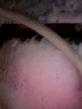 Payal950 online show from 12-02-25, 11:56