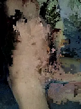 xxxxxcgbn online show from 02-05-26, 04:17