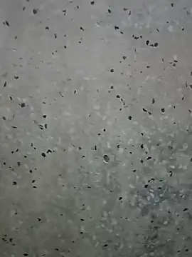 Mr xxx007xh online show from 03-01-26, 01:18