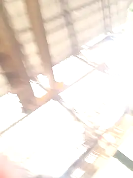 Snapshot of xyz-indian chatting on 10-11-25, 03:50 xyz-indian online show from 10-11-25, 03:50