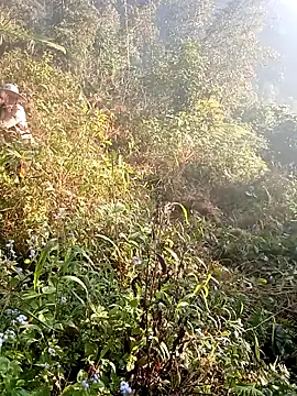 hera-00 online show from 12-19-25, 01:12