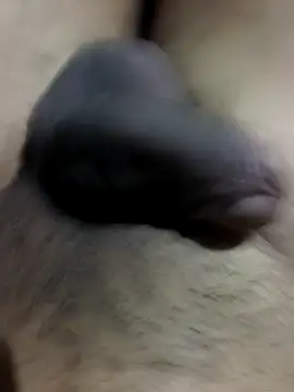 MH 12 11 online show from 09-22-25, 04:31