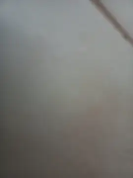 Snapshot of Jobson40 chatting on 11-01-25, 12:01 Jobson40 online show from 11-01-25, 12:01