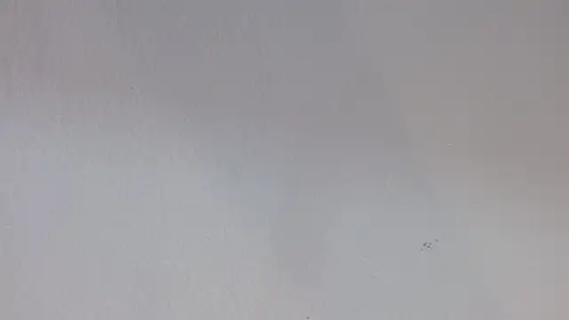 kiity horny  online show from 09-30-25, 12:54