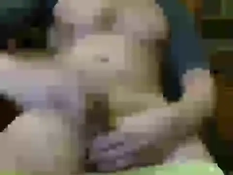 italian max sex online show from 11-21-25, 11:25