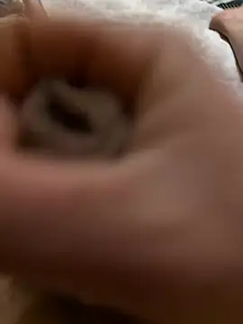 nbka12 online show from 02-01-26, 12:48