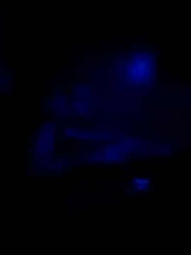 johnboones10 online show from 11-16-25, 08:31