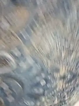 Snapshot of HAANNIAA chatting on 12-02-25, 11:04 HAANNIAA online show from 12-02-25, 11:04