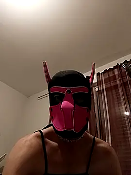 Snapshot of Puppydog33 chatting on 10-29-25, 08:54 Puppydog33 online show from 10-29-25, 08:54