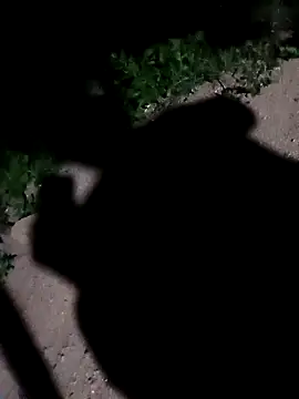 Sapna cutt online show from 09-10-25, 11:49