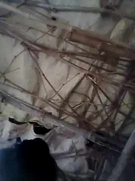 Sapna cutt online show from 10-14-25, 12:28