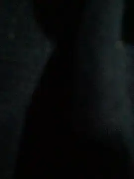 hmleonardo online show from 04-15-26, 07:26