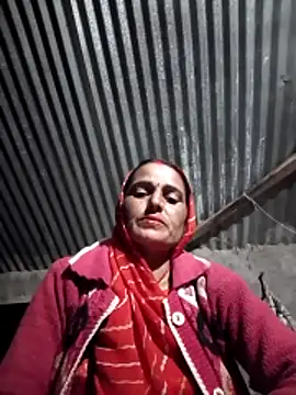 Jalebi bay online show from 11-11-25, 12:38