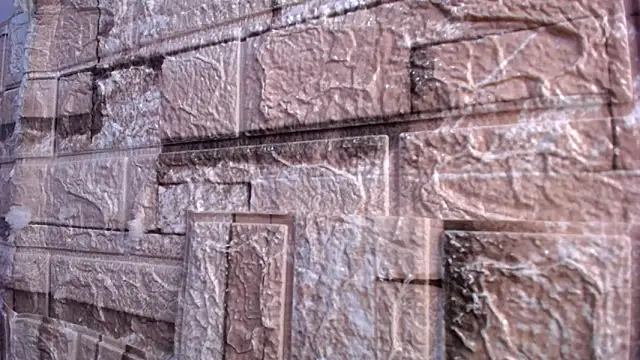 Bicky 24 online show from 03-02-26, 07:59