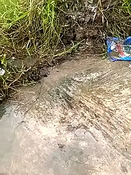 Snapshot of Rahul_Razz chatting on 09-10-25, 04:01 Rahul Razz online show from 09-10-25, 04:01