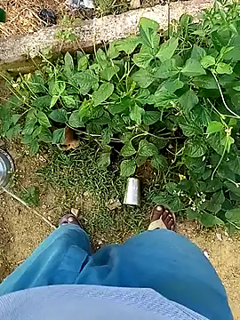 Snapshot of Rahul_Razz chatting on 10-21-25, 01:06 Rahul Razz online show from 10-21-25, 01:06