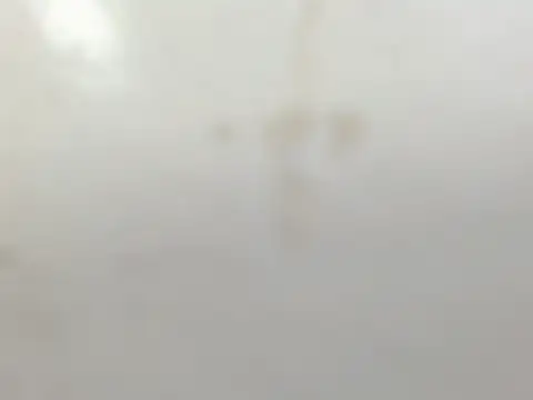 Snapshot of Penelopee_Rouse chatting on 10-20-25, 07:25 Penelopee Rouse online show from 10-20-25, 07:25