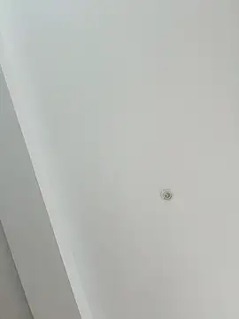 Snapshot of MoniqueMulberry chatting on 11-08-25, 07:34 MoniqueMulberry online show from 11-08-25, 07:34