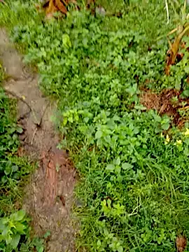 Snapshot of bigdaddyboy46 chatting on 09-12-25, 02:00 bigdaddyboy46 online show from 09-12-25, 02:00