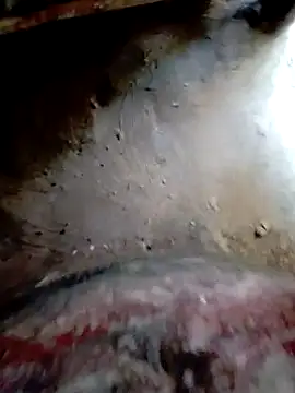 Snapshot of bigdaddyboy46 chatting on 10-20-25, 09:43 bigdaddyboy46 online show from 10-20-25, 09:43