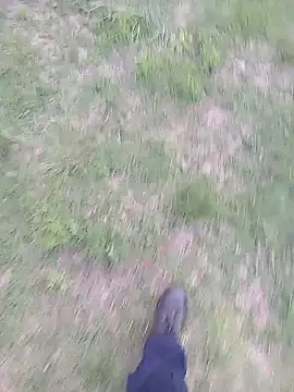 Pondo10 online show from 11-13-25, 03:55