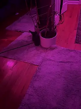 twunkwitadunk online show from 11-22-25, 03:22