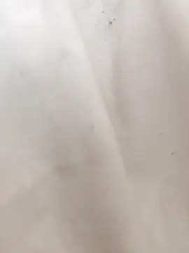 Snapshot of mecchauddu14 chatting on 09-14-25, 12:37 mecchauddu14 online show from 09-14-25, 12:37