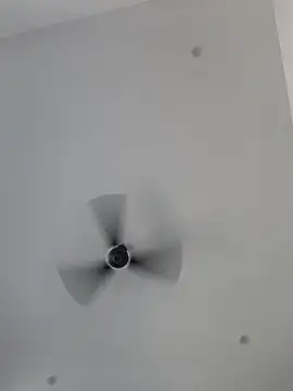 Snapshot of Chanderi19 chatting on 09-26-25, 04:38 Chanderi19 online show from 09-26-25, 04:38