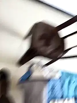 Snapshot of Chanderi19 chatting on 09-30-25, 09:25 Chanderi19 online show from 09-30-25, 09:25