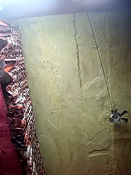 Suman ji1 online show from 11-27-25, 09:06