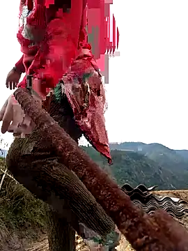 SSexykute3456 online show from 11-24-25, 01:49