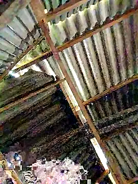 Snapshot of lyuyenkk chatting on 11-03-25, 01:08 lyuyenkk online show from 11-03-25, 01:08